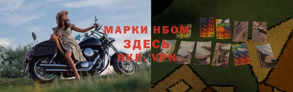 прущая мука Пересвет