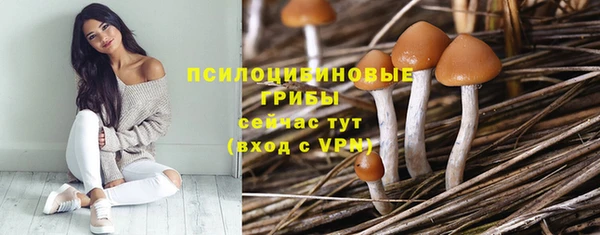 прущая мука Пересвет