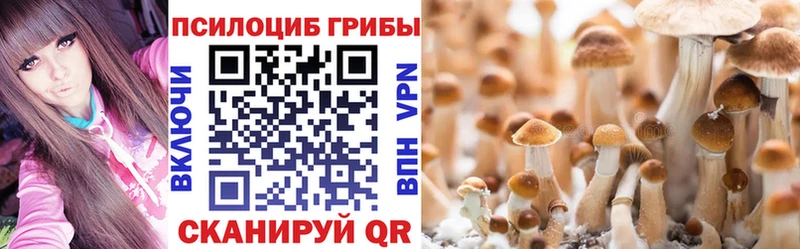 Галлюциногенные грибы MAGIC MUSHROOMS  наркотики  Кирс 