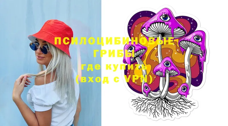 Галлюциногенные грибы Psilocybine cubensis Кирс